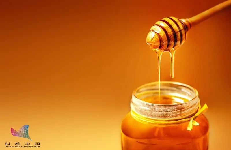 坚果|教训惨痛!请不要喂我的孩子吃这些!哪怕一口都不行