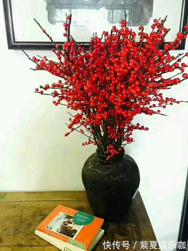 “年味十足”的10种花，家里至少摆1盆，寓意吉祥，还特有面儿！