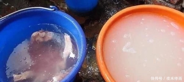 洗猪大肠,不加盐不加醋只需3样,大肠更干净,而且还没腥臭味