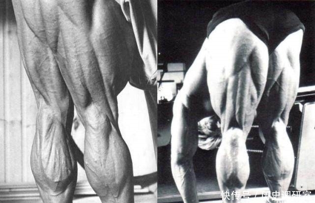 健美界|健美界名副其实的腿王，大腿比腰粗！裤子难买！