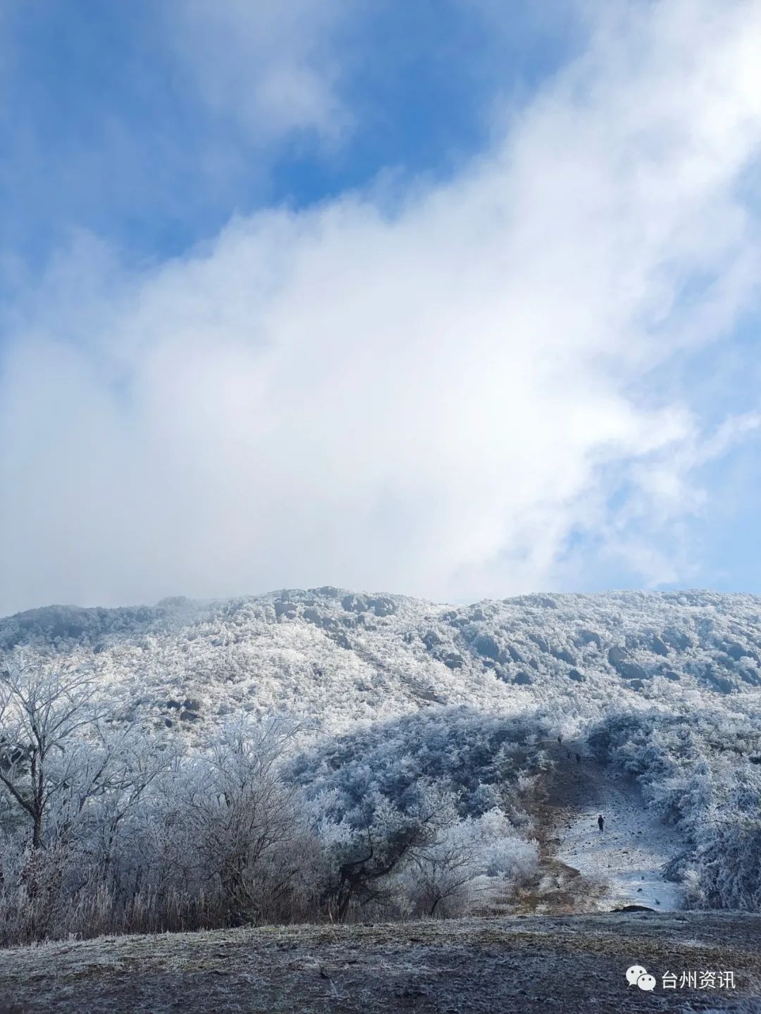 美景|天台大雷山雾凇美景玉树琼枝晶莹剔透令人神往！