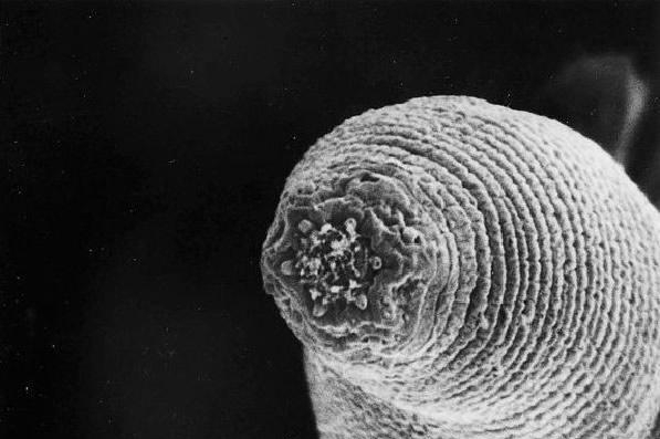 “地球最深处”究竟蕴含着多少的秘密？