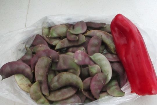 蔬菜中的补钙冠军,钙是鸡肉6倍,比牛奶好吸收,秋天多给孩子吃