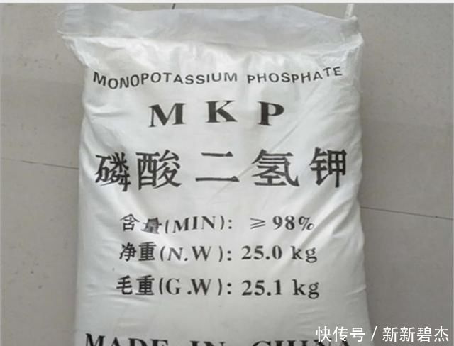 植物|淘米水、羊粪肥都不如这两种肥，什么花都可以用，简单好用