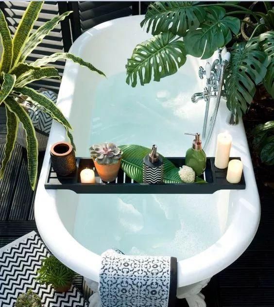 吊兰|4种花卫生间必养,耐阴除湿,漂亮好看生机旺