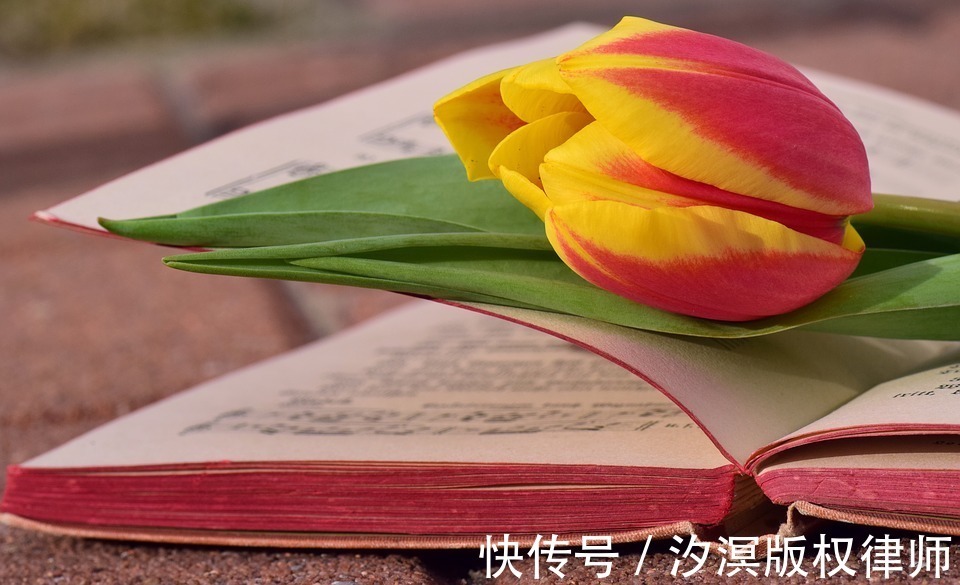 被告&传播有声小说若侵权,谁应负责?