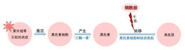 谎言|比「蹭蹭不怀孕」更恶劣的谎言,99%的女生都被骗过