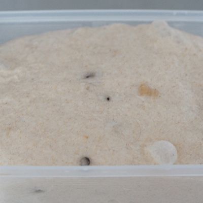 巧克力|全麦橙皮巧克力软欧包