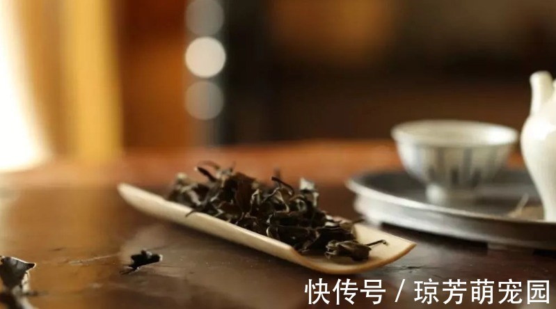 茶性|立秋后還在亂喝茶？秋季養生喝什么茶好？為何秋天要多喝茶？