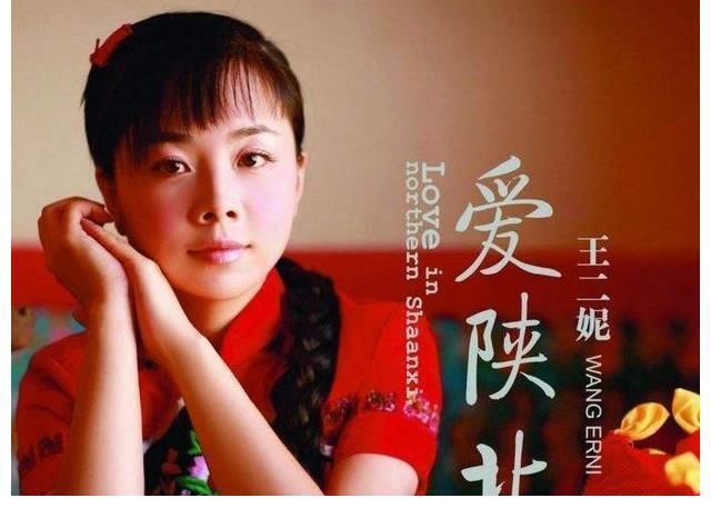 藝術團|農民歌手冠軍王二妮拋下名利低調返鄉耕田?背后原因讓人惋惜