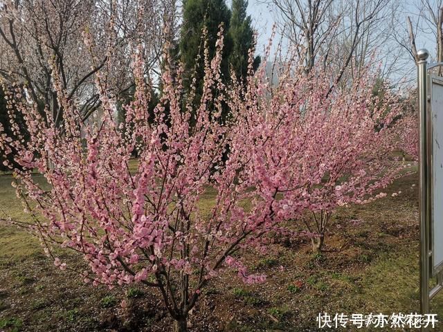 事物|让读者感受到所描述事物的真实