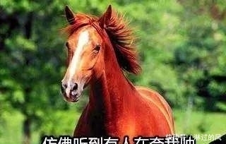 古人|论拍马屁,古人什么时候输过?拍马屁这门技术活在古代叫“谀”。