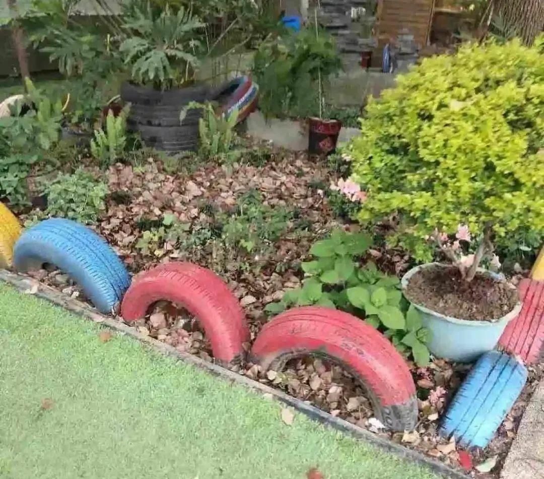 塑料瓶|旧筷子、老干妈瓶别扔,拿来养花效果好,省下一笔养花钱