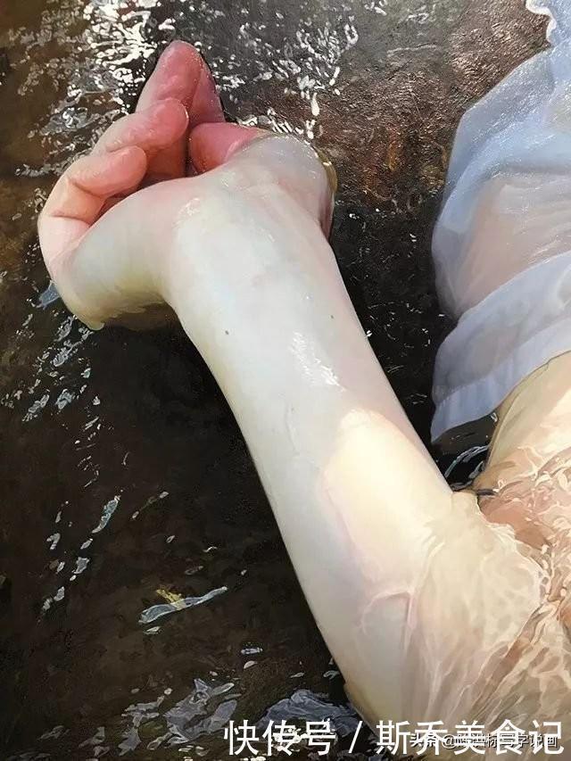 谢楚余|他们画的人体,不是全身湿透,就是躺在水里,这是创新还是低俗?