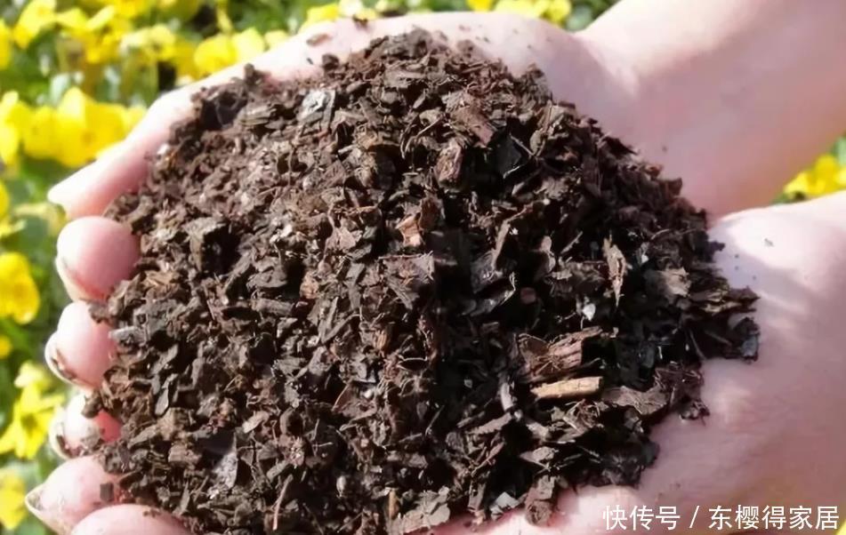  种水|养花不能用的3种土、4种水，不利于花卉生长，啥花都养不久