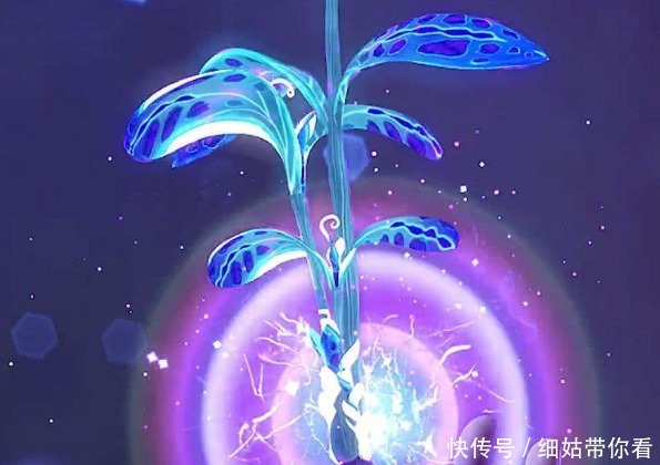 斗罗大陆：植物系魂兽中的“隐藏王者”，10万年魂兽是它的养料