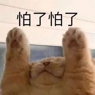 唱跳节目没出道，恋爱综艺里他倒是挺有一套