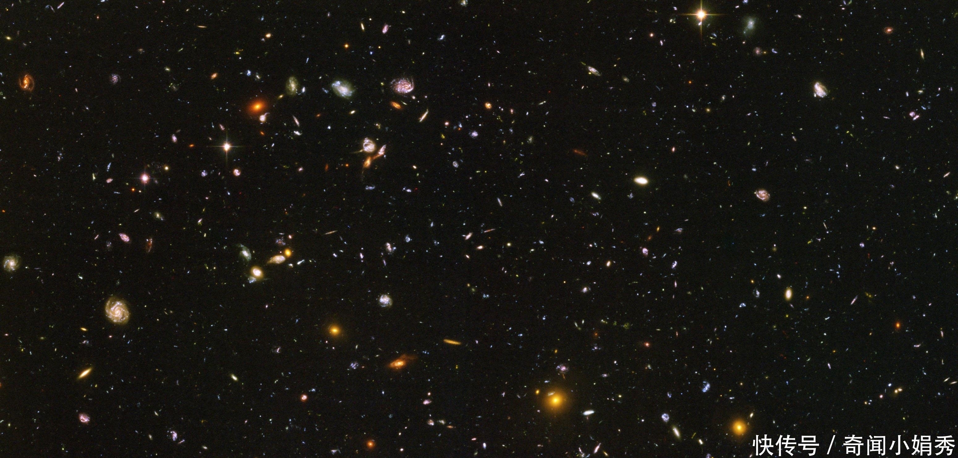 给出|生命的意义是什么？给出的答案太残酷，让人难以接受