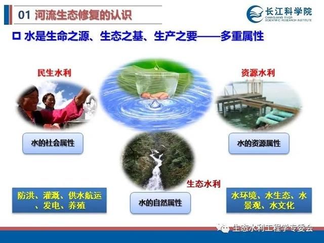 河流|「专家视角」许继军：河流生态修复理念、技术与实践