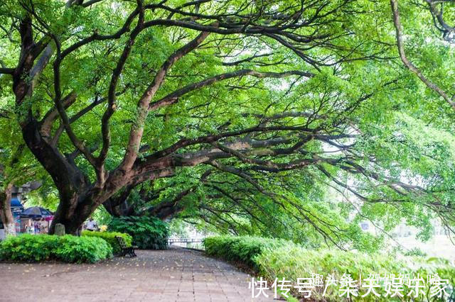 游客们|江浙沪最美的“孤屿”，风景媲美鼓浪屿，门票25元去的人却很少