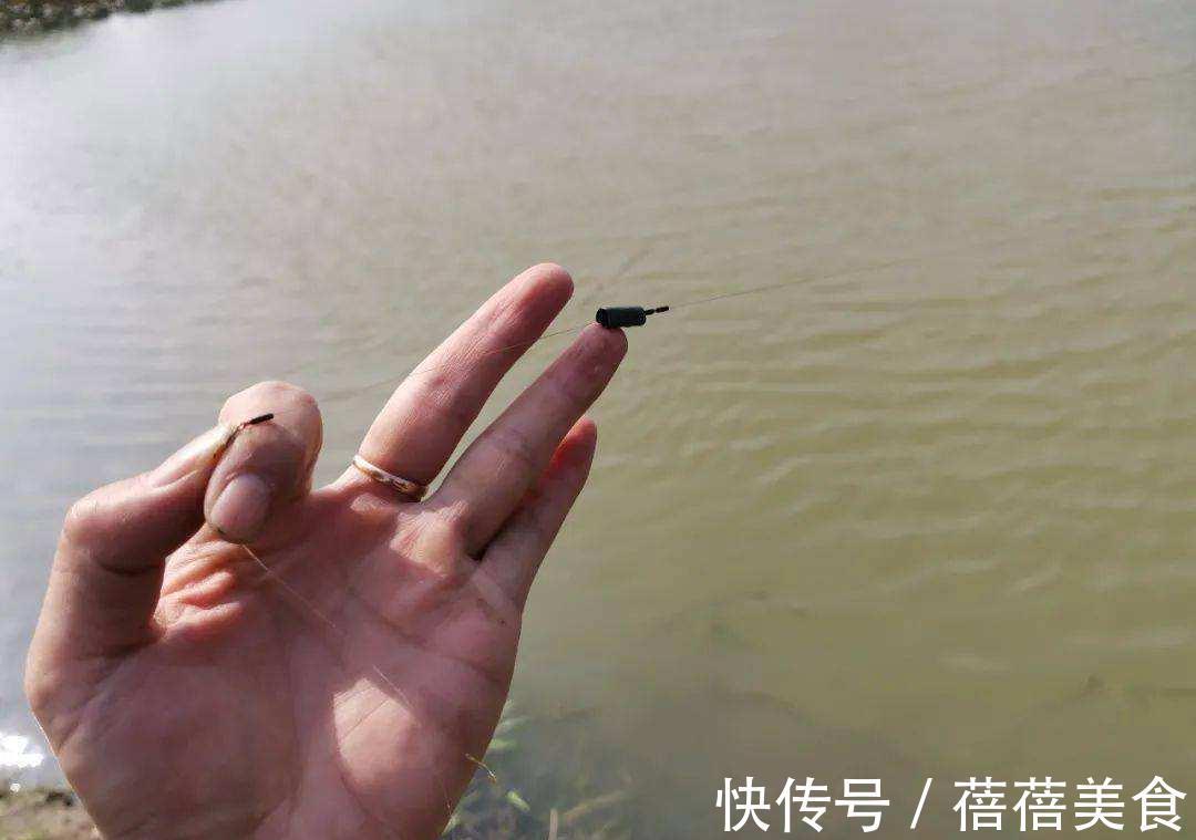 野钓时,子线到底怎么选,才能符合实战需求?