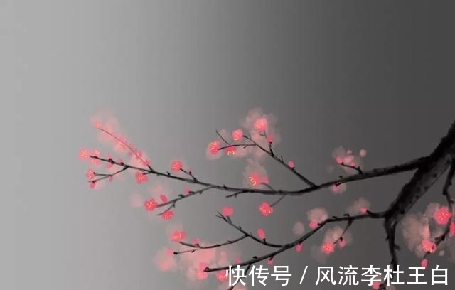 性情|＂【测试】你几月出生，就是什么花＂