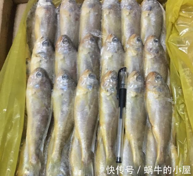 鲜美|它被称为“河里人参”,贵是贵点,但滋味鲜美,能健脾益气