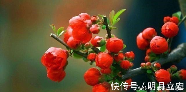 新绿|元好问晚年回到故乡,写给儿孙一首诗,指出了人世间最好的教养