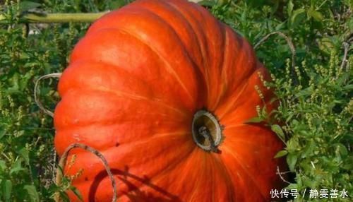 延缓衰老|女性不想老的快,坚持吃3种食物,延缓衰老,活血调经,保护子宫