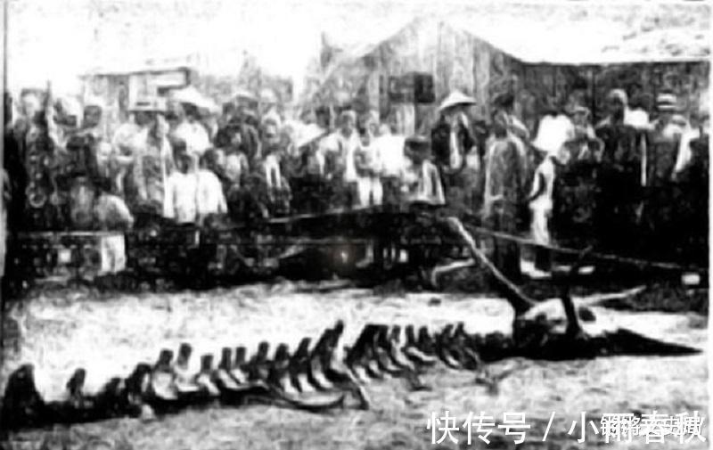 龙骨$1934年营口坠龙事件,是日本人的阴谋吗