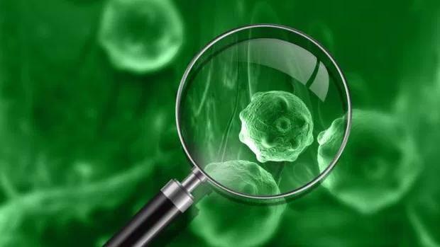 知识|都说癌症化疗九死一生知道化疗的这些知识,再也不用担心化疗