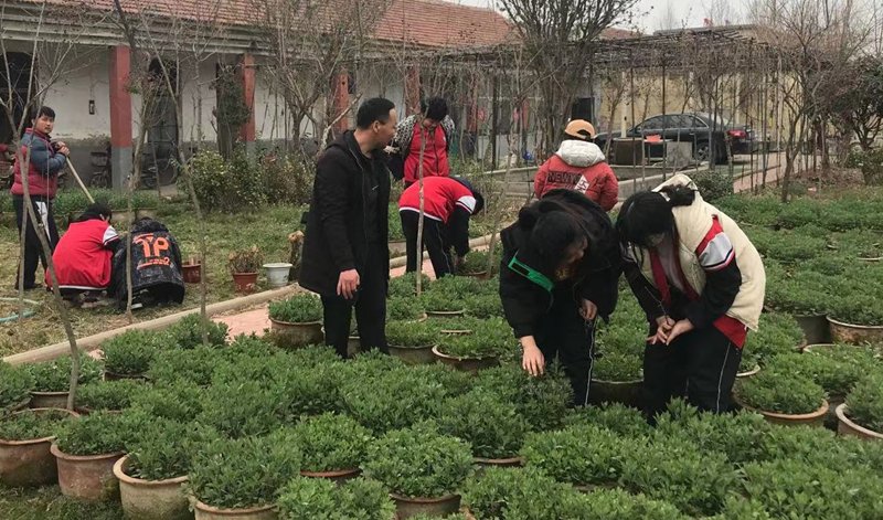 中医药|临沂枣园中学入选山东省首批中医药文化进校园试点学校