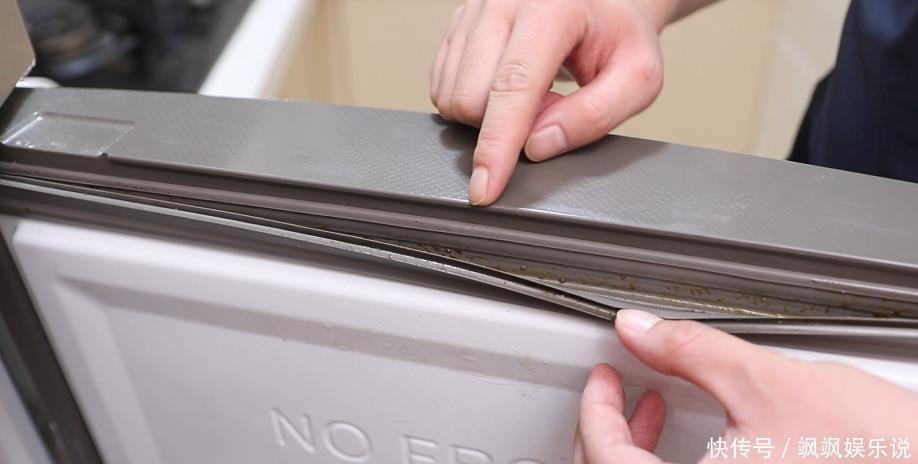 绒布|冰箱封条发霉了不用愁,一个小窍门教你轻松洗干净,方法简单省事