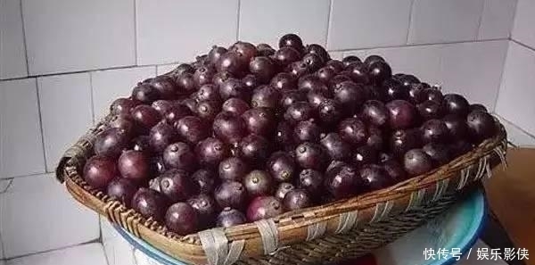 自酿|小妙招,教你在家如何自酿葡萄酒初级方法