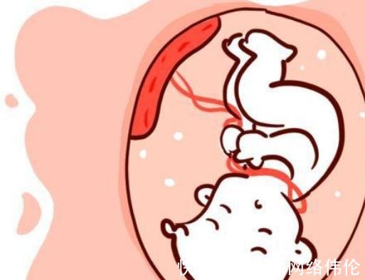 畸形|孕妈这个月份容易导致胎儿畸形,熬过去了宝宝才安全,孕妈需注意