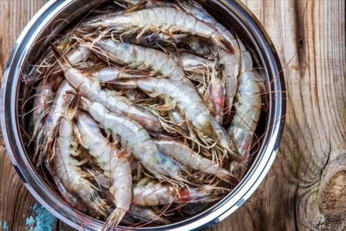 大虾|保存大虾，别再直接冻冰箱，只需1个塑料瓶，到冬天依旧很新鲜