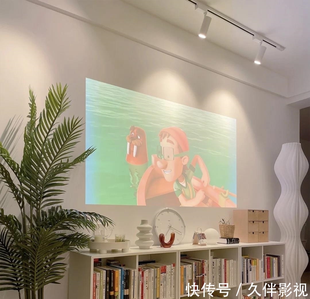 干区|28岁女主与猫55㎡新居,处处干净清爽,井然有序,圈粉无数