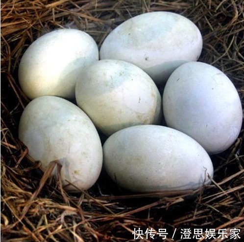 孩子|妈妈怀孕,3种食物要舍得吃,可以促进孩子发育,让孩子更健康