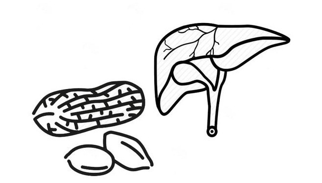 起床|女人起床后,坚持吃一把花生,不出半月,三个喜事可能会降临