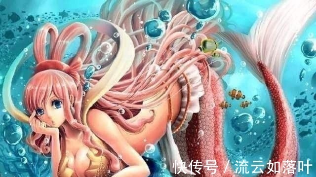 超能力者|海贼王那些外貌美丽的女性,有一个你不喜欢的算我输