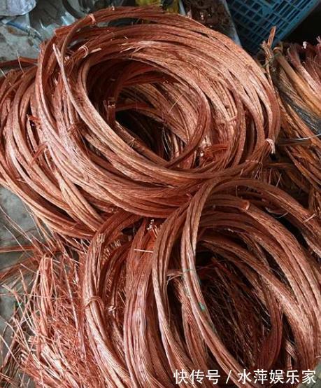 电线|家中的“旧电线”别乱丢,往盆里埋一点,花卉都喜欢,爆盆不止!