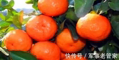 芦笋|想皮肤好一点，秋天吃的食物，改善肠胃不适，人体年轻，不显老