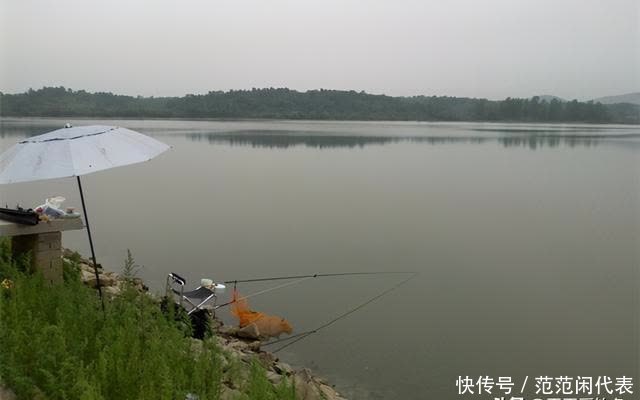 春季钓鲫鱼,钓浅水要看准时机,这些天气出钓,“爆护”已成定局