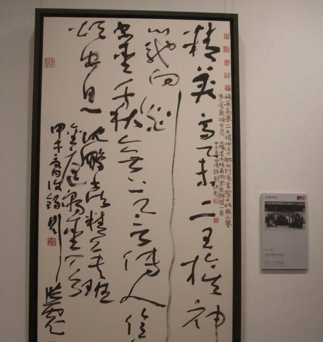 刘洪彪$刘洪彪的“水墨”书法是胡闹,中书协真的认可这一种草书吗?