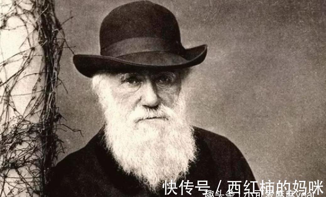 孩子|孩子有这些“怪癖”,暗示他智商会很高,家长可别逼着孩子改