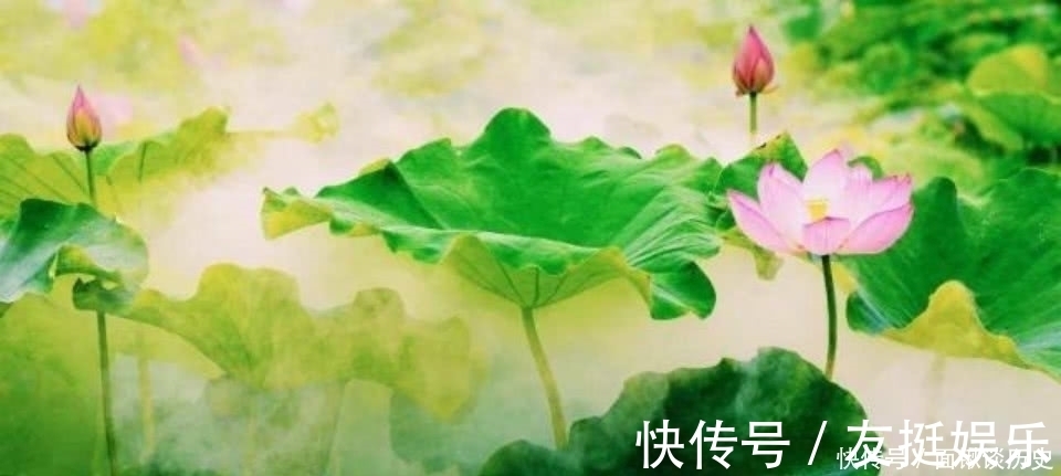 采莲曲&贺知章晚年写下一首很唯美的诗,短短的28个字,美得令人心醉!