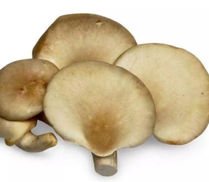 洋葱丁|得了颈椎病头晕眼花怎么办,一把粗盐就够了,和颈椎疼头晕说拜拜