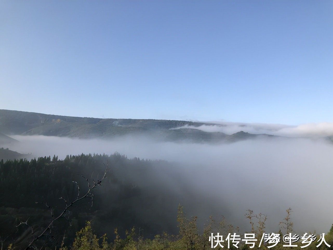 古人#古人说:“藏象”合一,万物皆成,是啥意思?藏和象指的是啥?