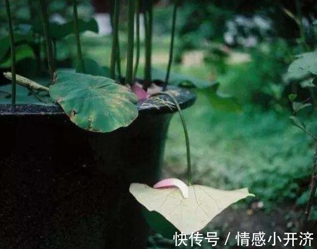 人生路|爷爷说:为人处世,这四件事是“杀人不见血的刀”,要放下