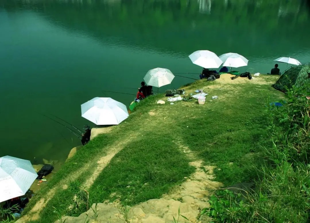 钓鱼|陌生水域找鱼的4个“独门绝技”，让你鱼口不停！钓鱼人一般都不想告诉别人！